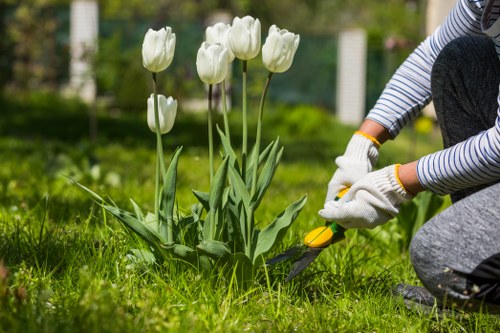 Professional garden clearance team at work in Earls Court