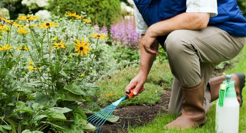 Pruning overgrown tree branches