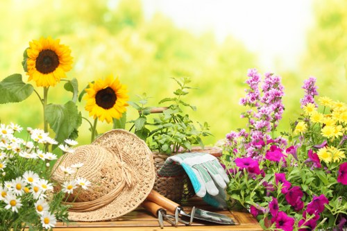 Professional landscape gardener planning a garden layout in Earls Court