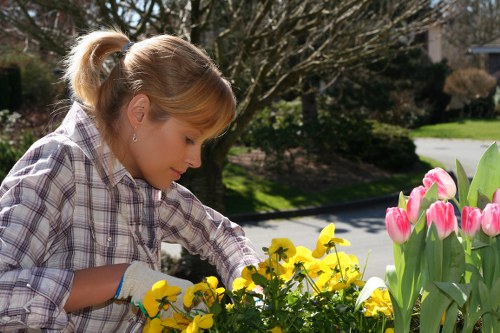 Inspector reviewing garden work during a complaints investigation